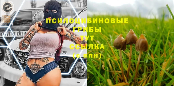 крисы Заволжье