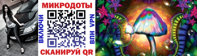 Купить где  Отрадная  Псилоцибиновые грибы мицелий 