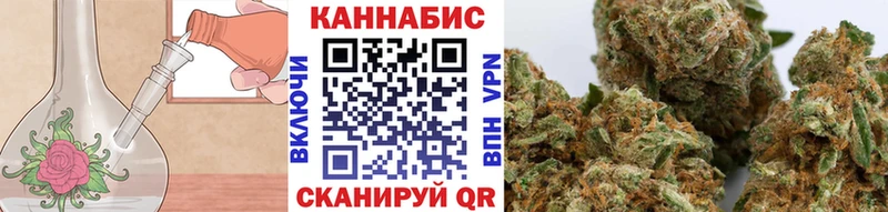 Бошки Шишки ГИДРОПОН  Купить закладки  Отрадная 